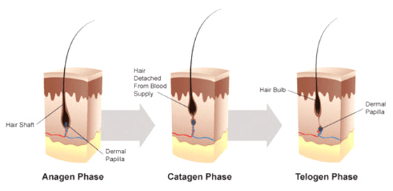 How to gracefully go bald